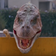 Tammy And The T.Rex